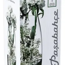 Paşabahçe 43966 Botanica Cam Vazo 26 Cm