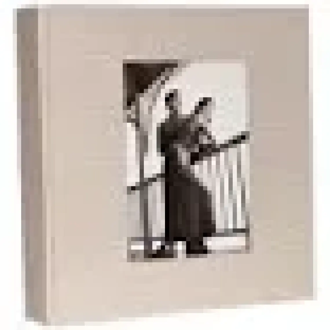GünTech 10X15 500 Lük Koton Fotoğraf Albümü Koton Vizon
