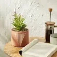 Karaca Home Simple Saksı Yapay Bitki 23 cm