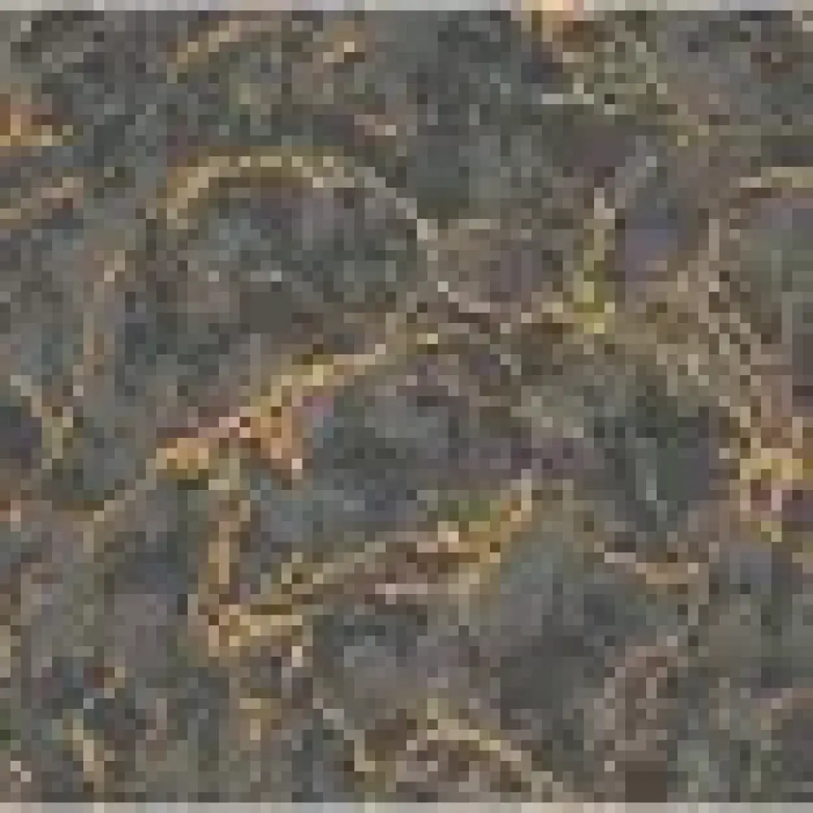 Adawall Vera Koleksiyonu 1503-5 Duvar Kağıdı