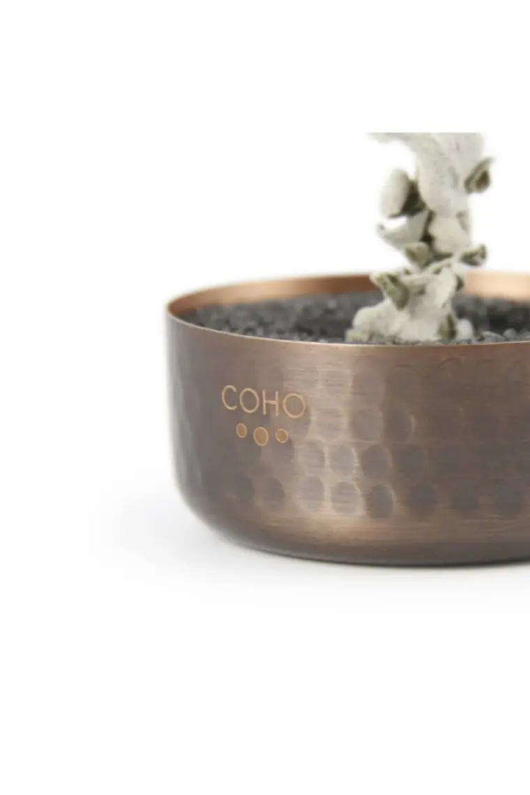 Coho Antique Meditation Bakır Kumlu Tütsülük