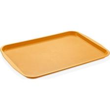 Gastroplast Abs Servis Tepsi 27*36