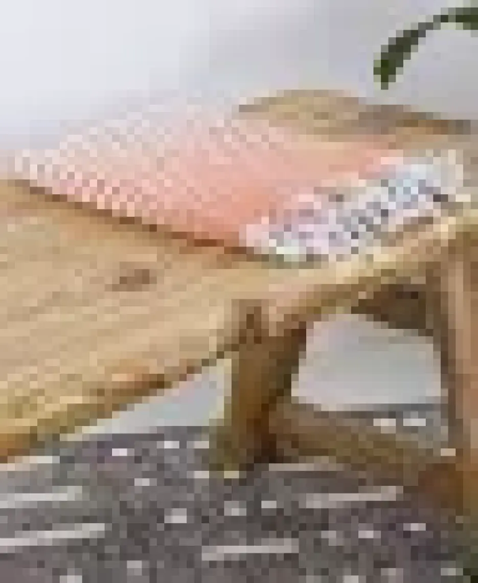 Homedius Alagra Turuncu 100x170 cm Pamuk Peştemal