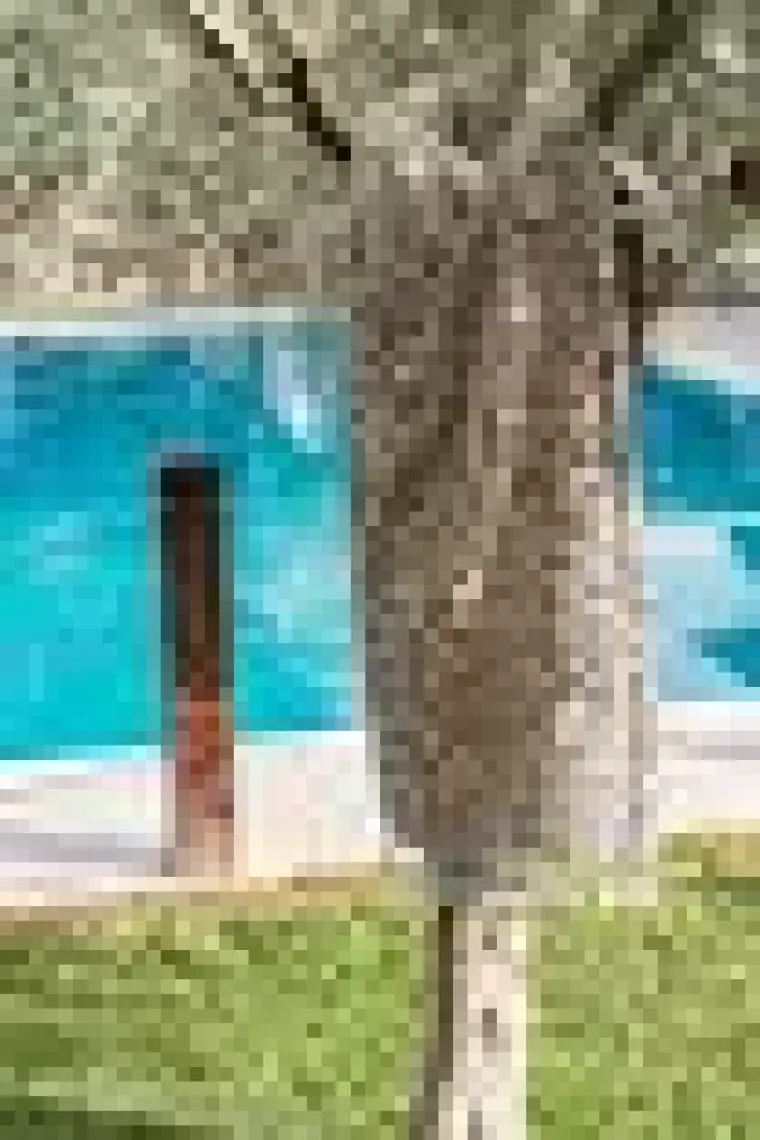 Soley | Panthera | %100 Pamuk Peştamal