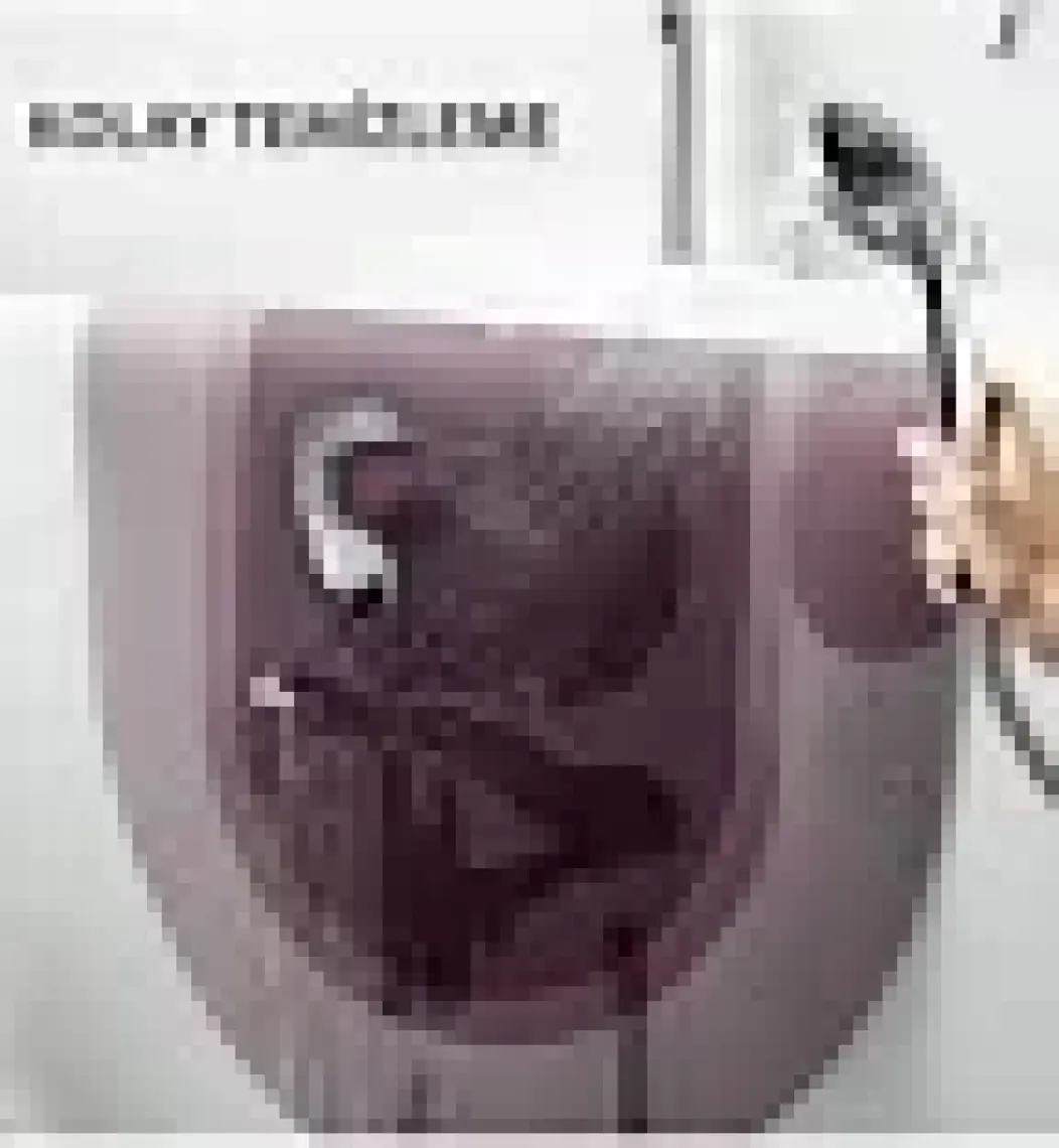 Mayaglory Su Emici Banyo Paspası, Sihirli Banyo Paspası, Su Emici Kaymaz Tabanlı Banyo Paspası