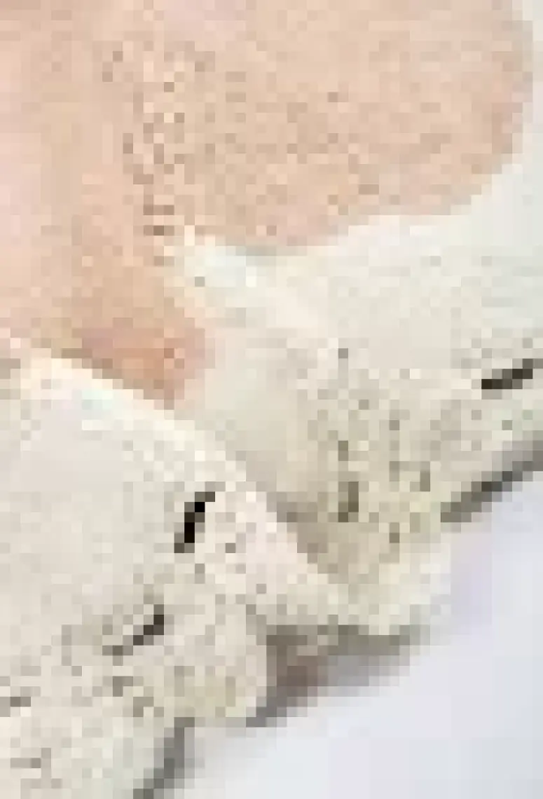 Irya Bianca 2’li Takım Banyo Paspası %100 Pamuk 40x60 + 60x90 Kahverengi