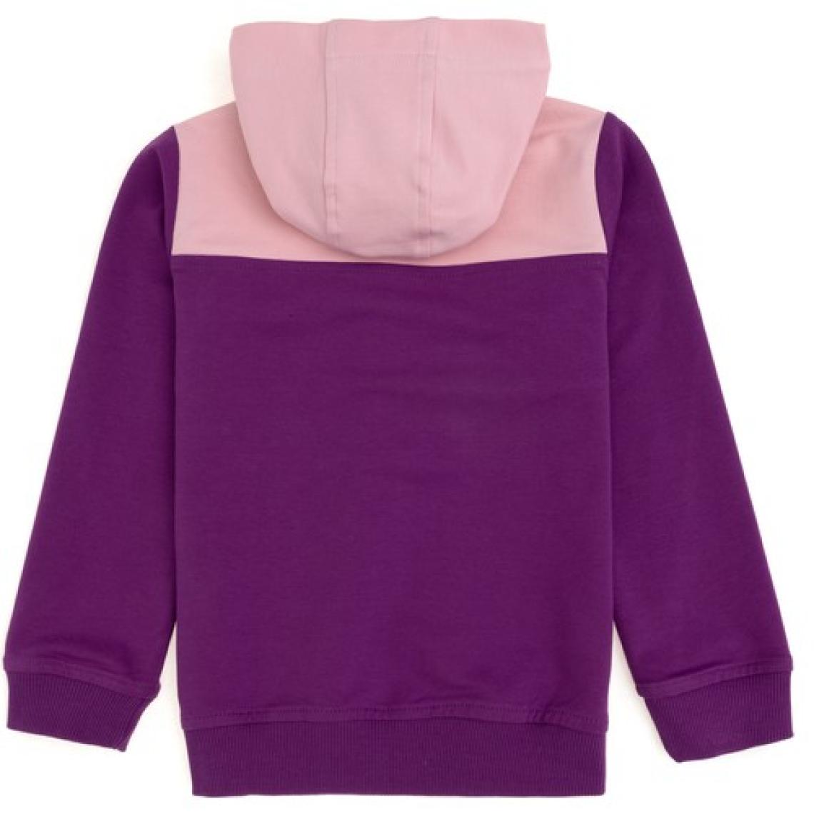 U.S. Polo Assn. Kız Çocuk Menekşe Sweatshirt 50296288-VR037