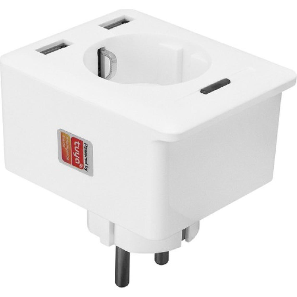 S-Link Swapp SL-04 10A Akım Korumalı Akıllı Priz 2 USB 2.4 Ghz Wifi TUYA Destekli