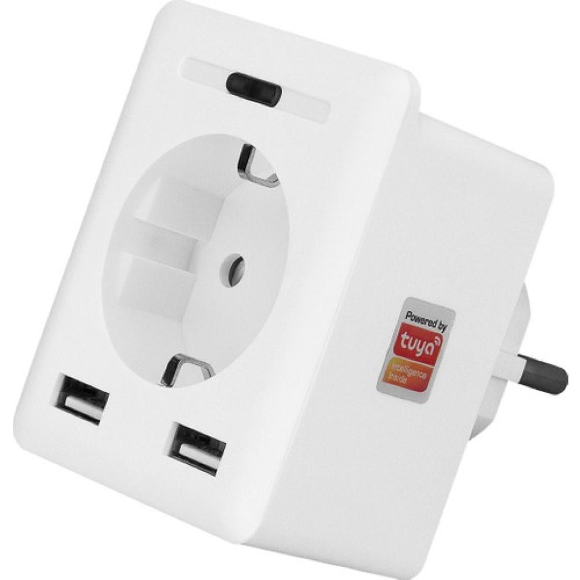 S-Link Swapp SL-04 10A Akım Korumalı Akıllı Priz 2 USB 2.4 Ghz Wifi TUYA Destekli