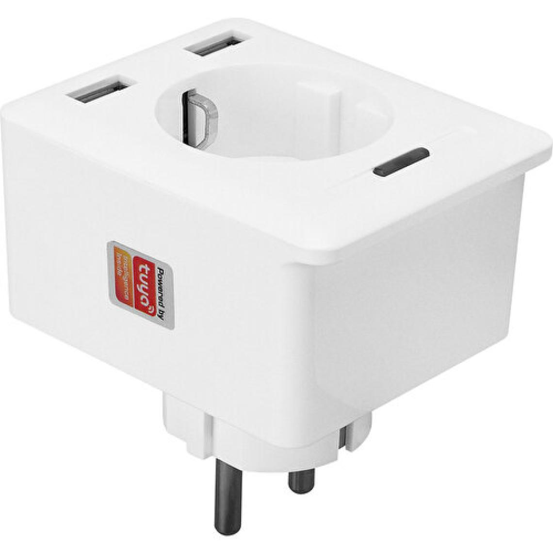 S-Link Swapp SL-04 10A Akım Korumalı Akıllı Priz 2 USB 2.4 Ghz Wifi TUYA Destekli