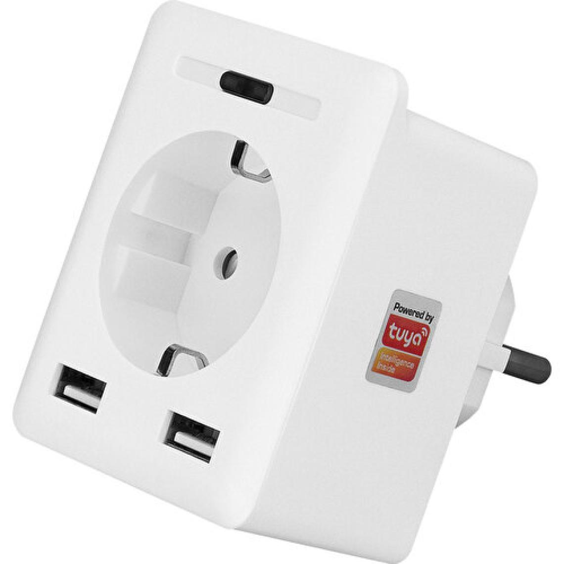 S-Link Swapp SL-04 10A Akım Korumalı Akıllı Priz 2 USB 2.4 Ghz Wifi TUYA Destekli