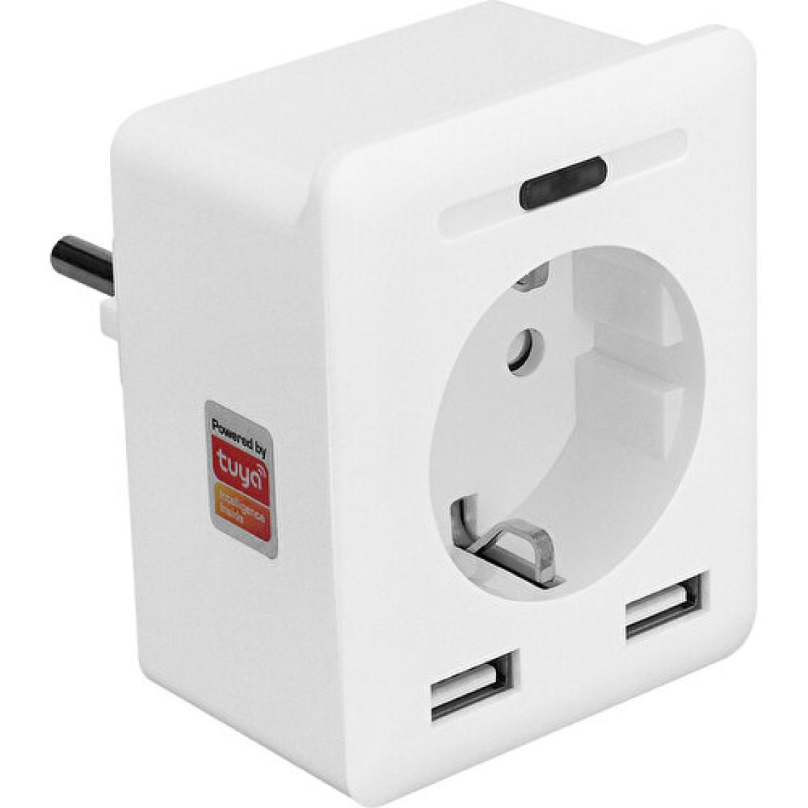S-Link Swapp SL-04 10A Akım Korumalı Akıllı Priz 2 USB 2.4 Ghz Wifi TUYA Destekli