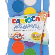 Carioca Sulu Boya 12'li Plastik Kutu
