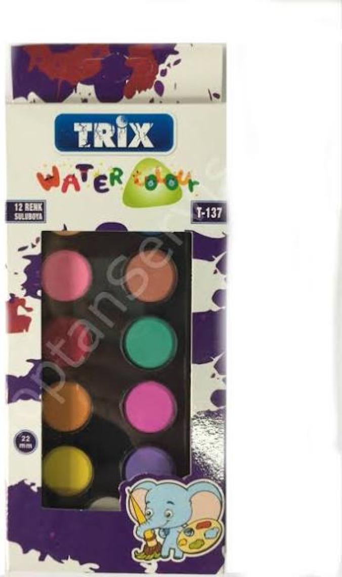 Trix Renkli Sulu Boya 12'li