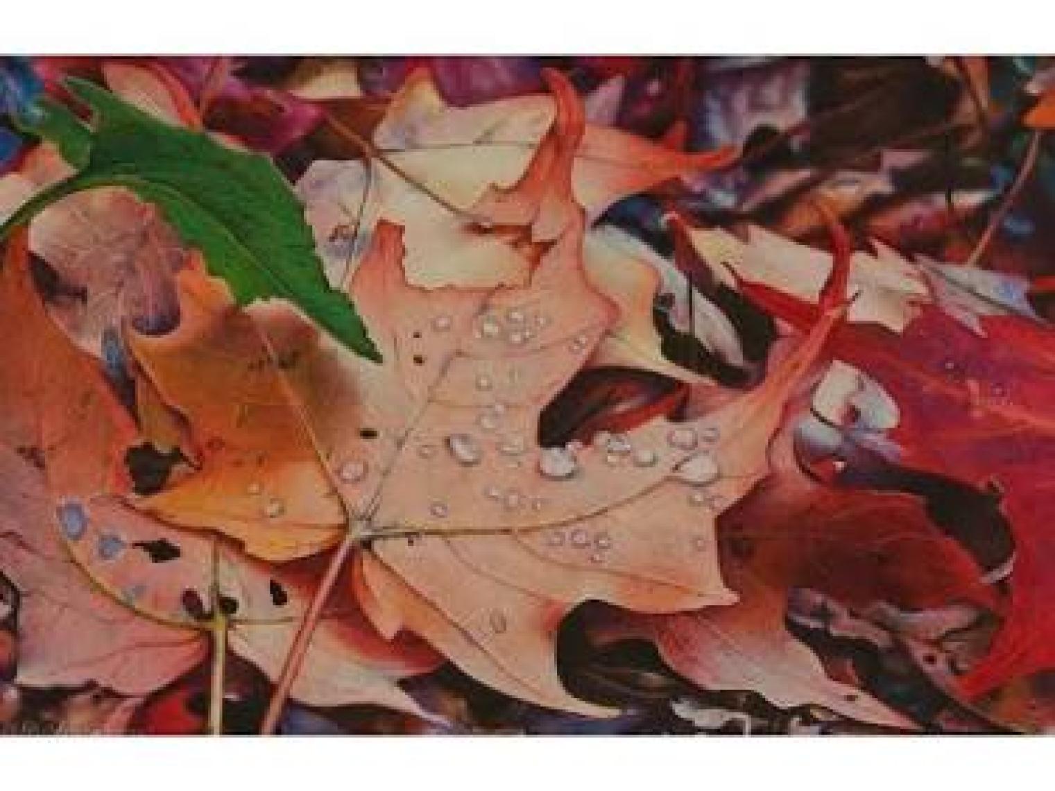 Koh-i-Noor Polycolor Kuru Boya Kalemi 3800 Sap Green