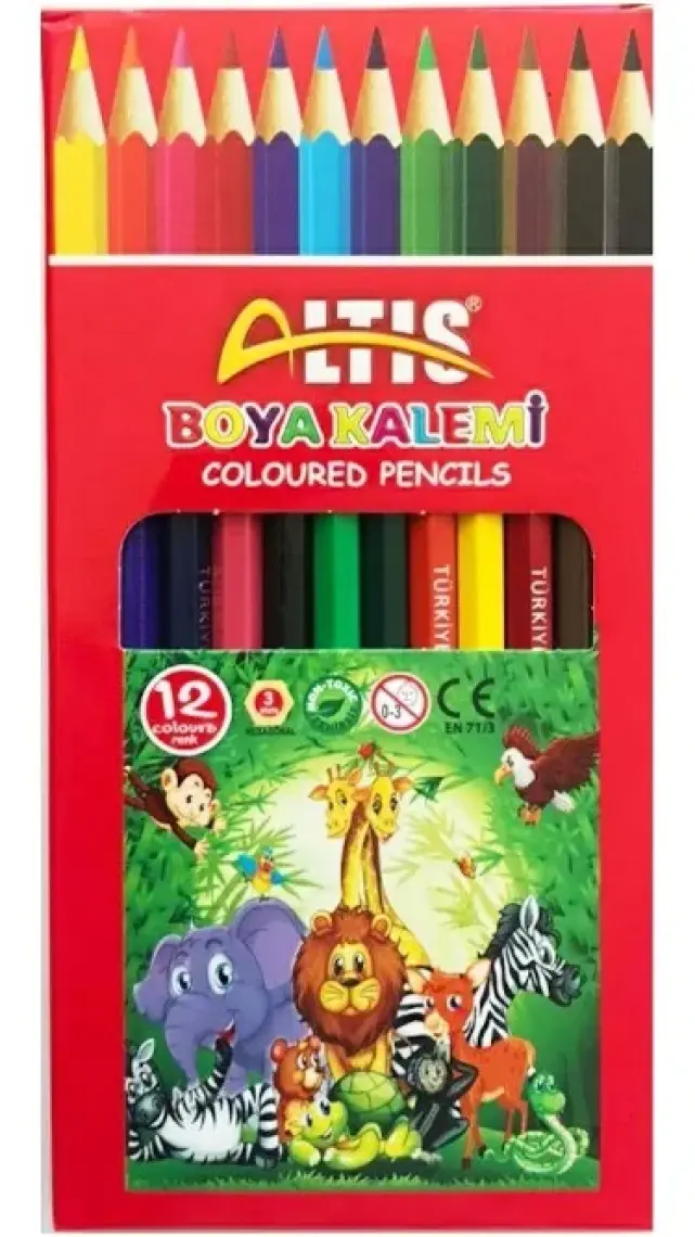 Altis Kuru Boya Tam Boy 12 Renk 2720