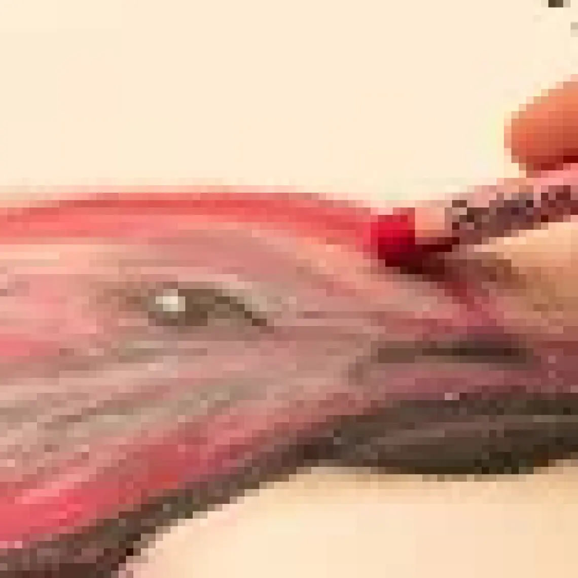 Pentel Arts Yağlı Pastel Boya - 36 Renk / YPHN36