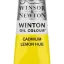 Winsor & NewtonWinton Yağlı Boya 37Ml Phthalo Blue 516 30