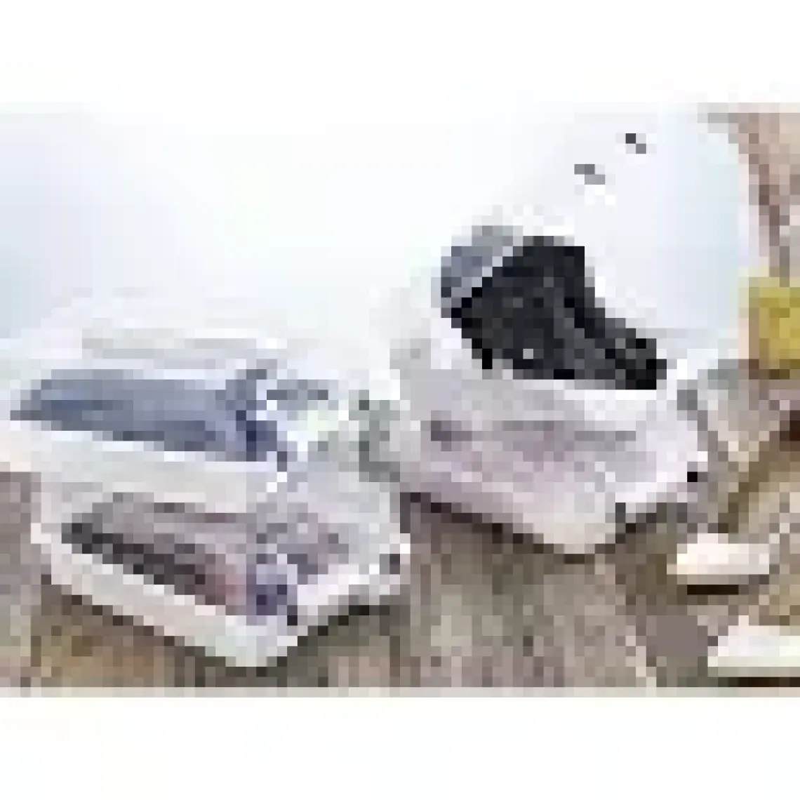 Smartware Ayakkabı Kutusu Terra 10lu Paket Erkek-1003
