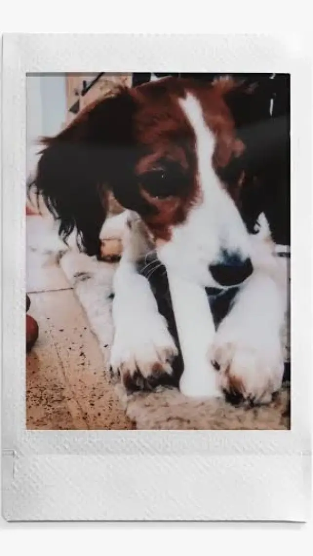 Instax Mini 10'lu Film 5'li Set 50 Poz