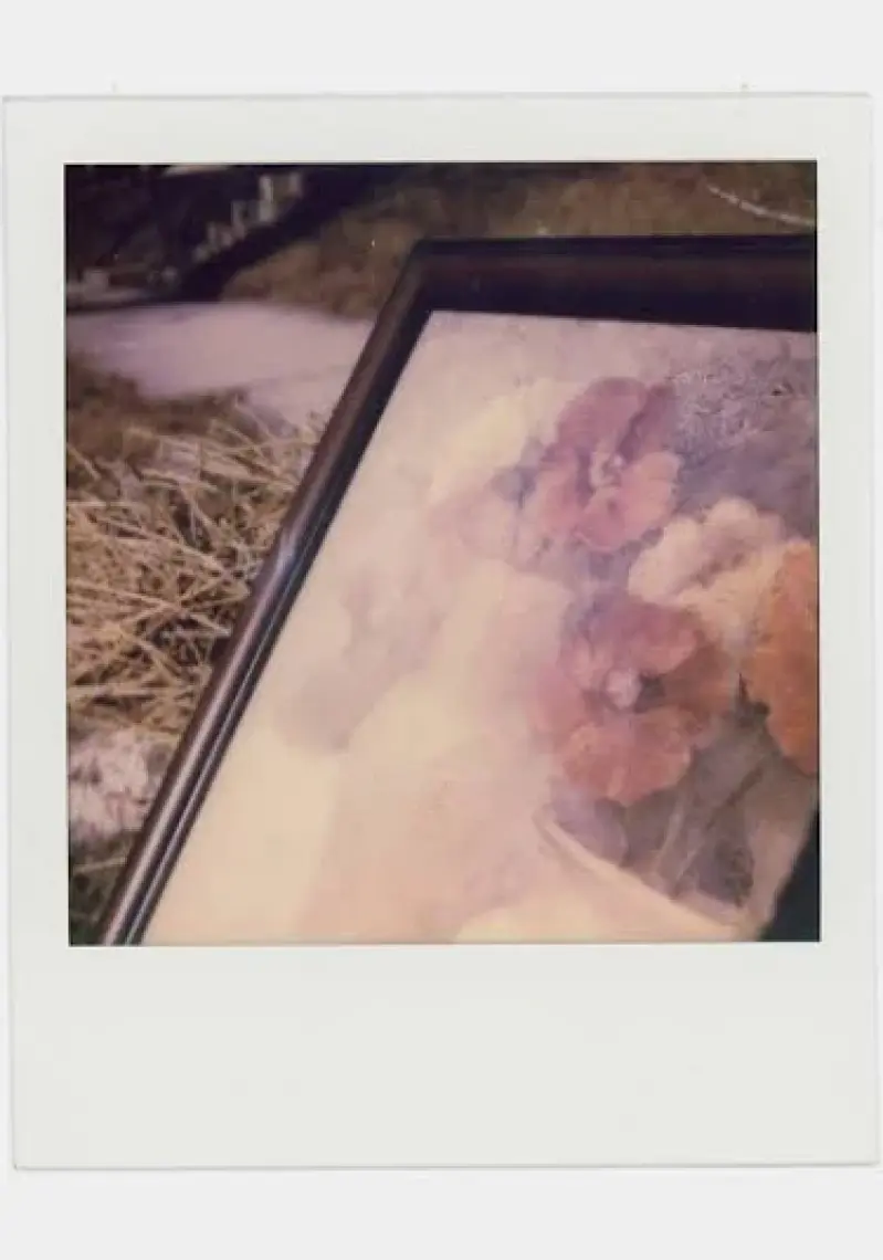 Polaroid Color Film For Sx-70