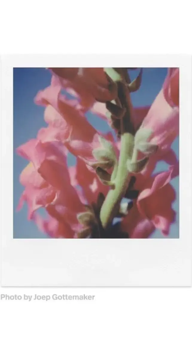 Polaroid Color Film For Sx-70
