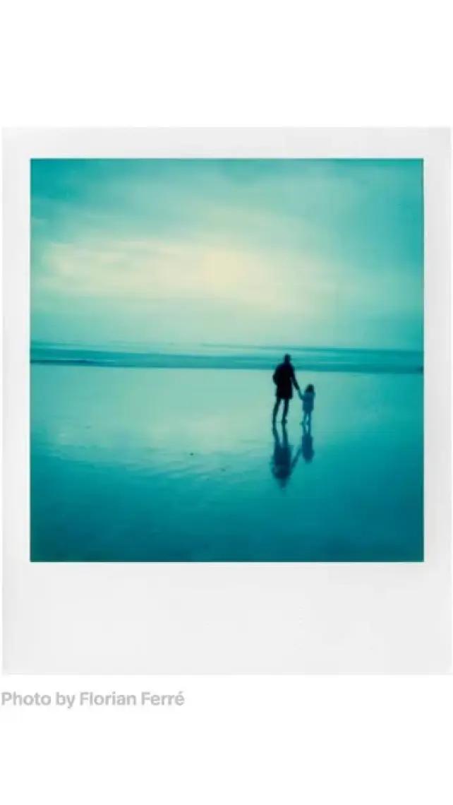 Polaroid Color Film For Sx-70