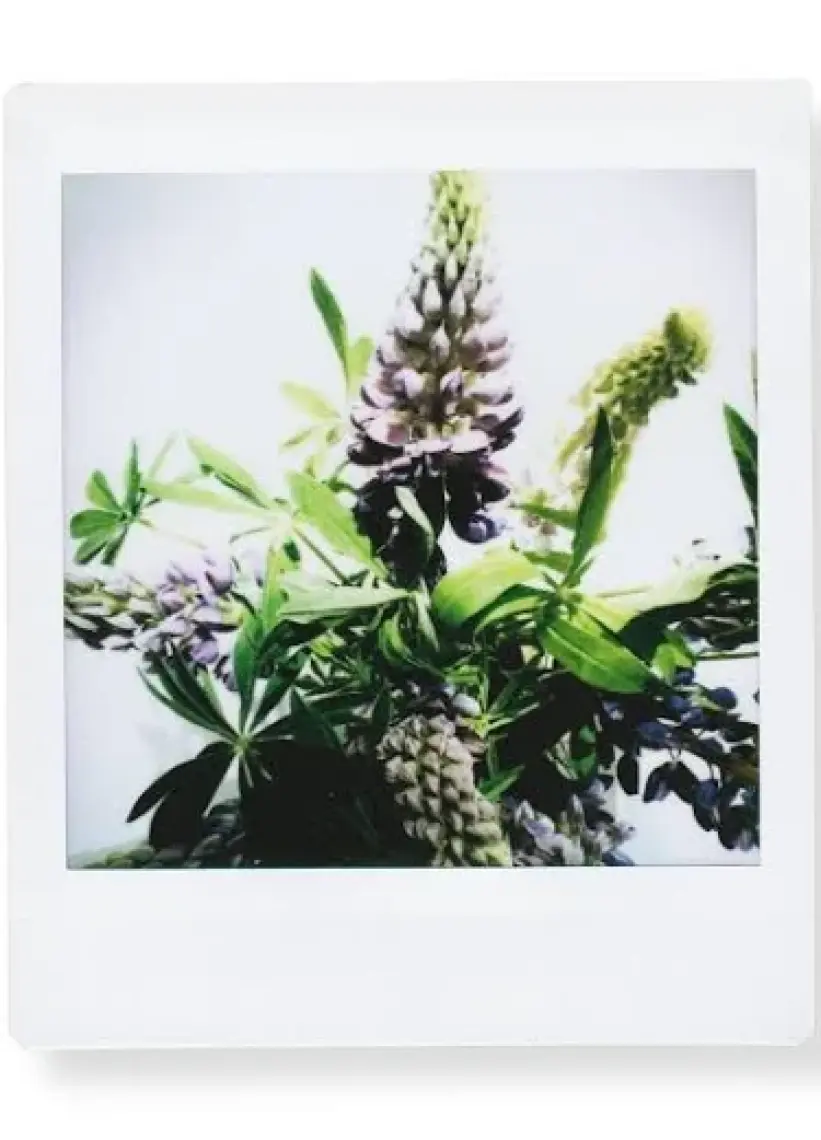 Fujifilm Instax Kare 10'lu Film