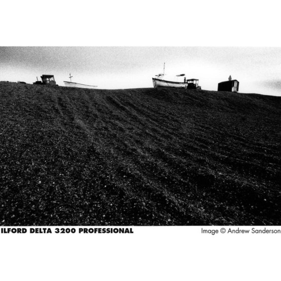 Ilford Delta 3200 36 Pozluk Siyah Beyaz Negatif Film (Skt: 12-2021)