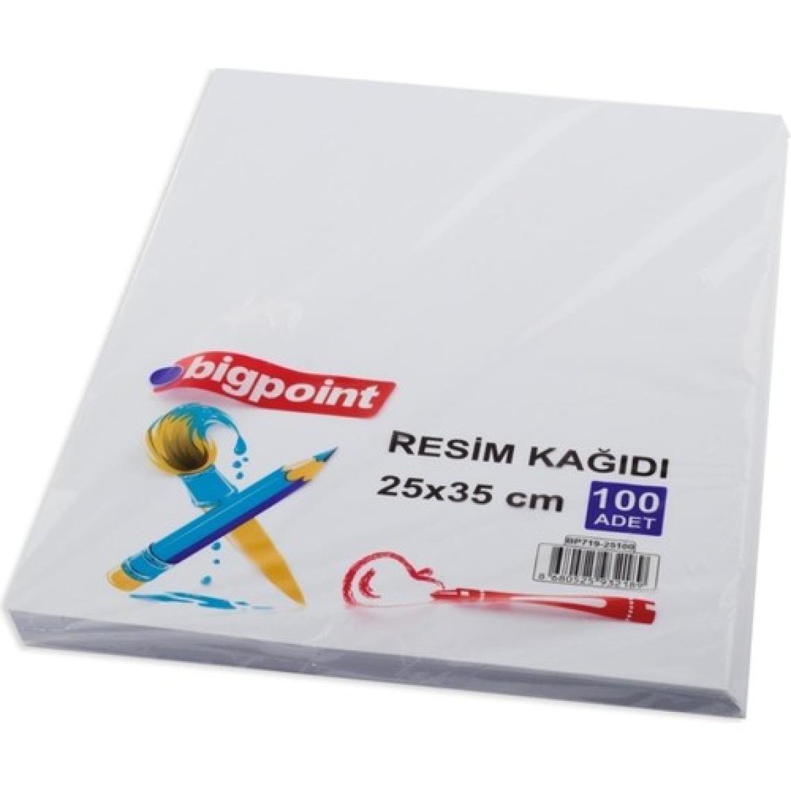 Bigpoint Resim Kağıdı 25X35CM 100'LÜ Paket