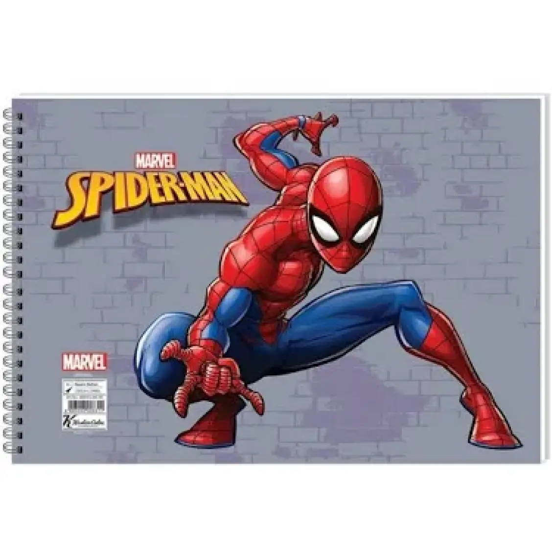 Spider 17*25 15 Yp.Resim Defteri