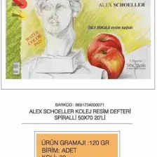 Alex Schoeller Resim Defteri Spiralli 50x70 120gr. 20 Yaprak