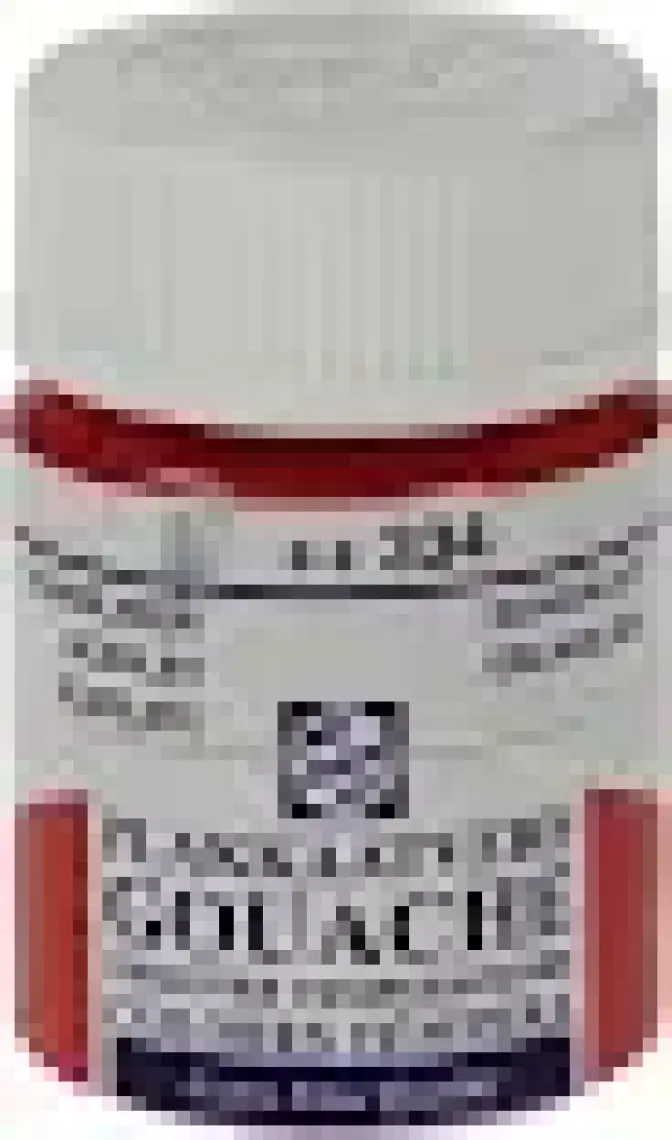 Talens Guaj Boya Tüp 16 ml Renk Seçenekleri 334 Scarlet