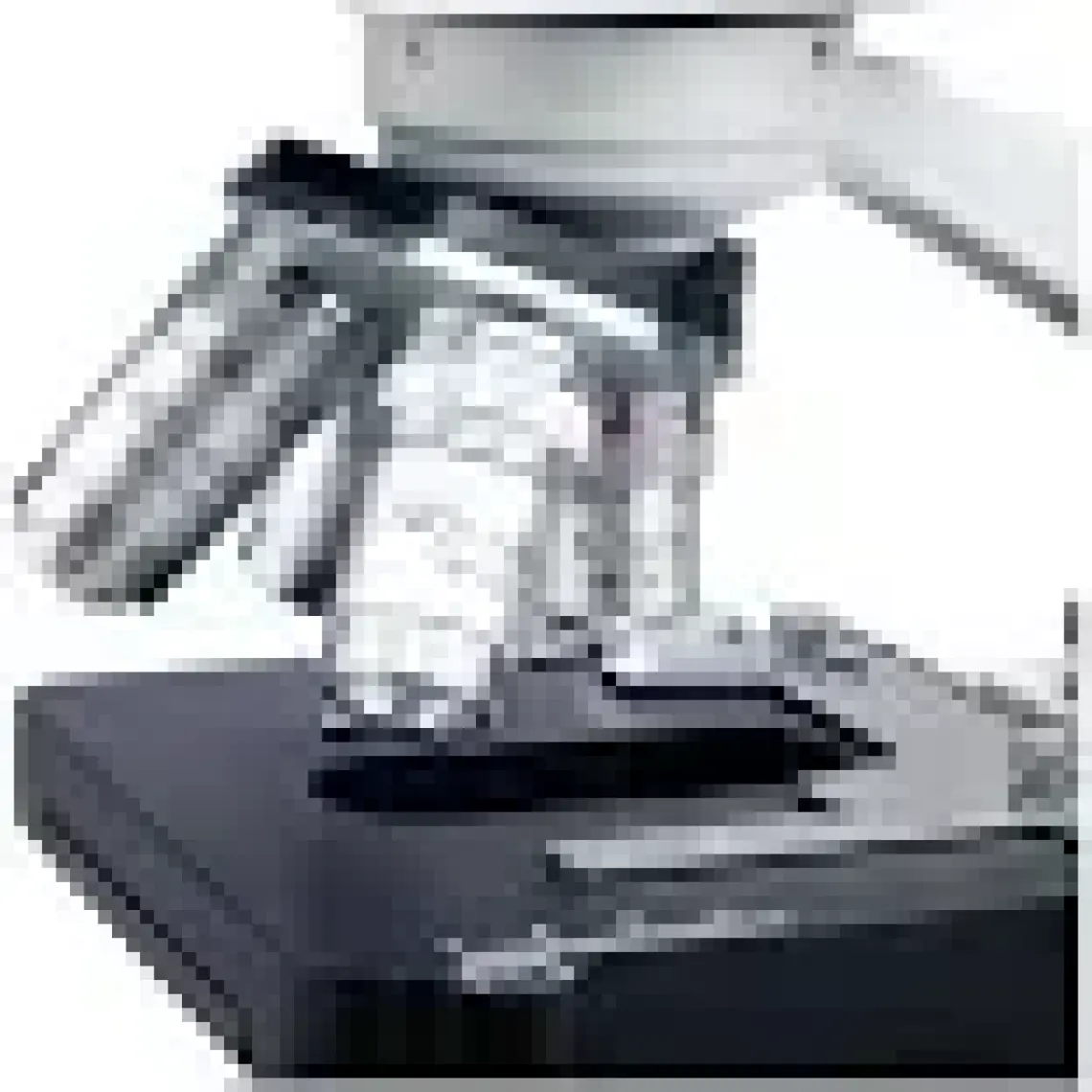 Triline 2500X Binoküler Bileşik Biyolojik Laboratuvar Mikroskop