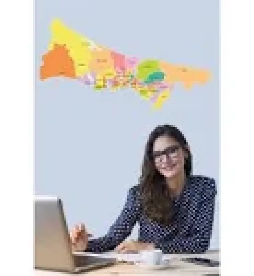 Tutunabilir Kağıt Istanbul Anadolu ve Avrupa Yakası Haritası Görünümü Kağıt Tahta 135X72 cm