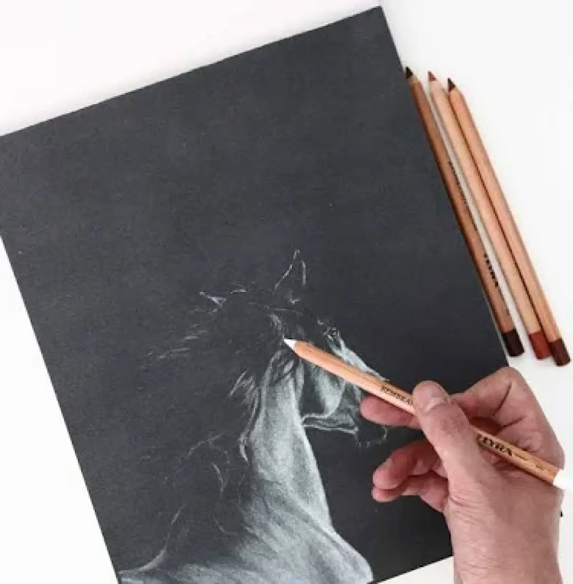 Lyra Rembrandt Beyaz Yağlı Pastel Kalem