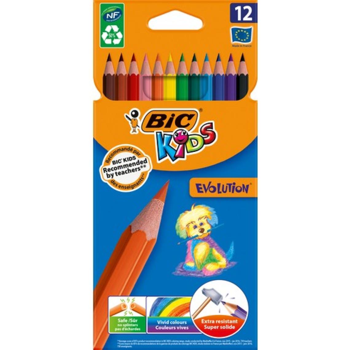 BIC 37 Parça Dikkat Geliştirici Boyama Seti (Kalem Kutusu Hediyeli)