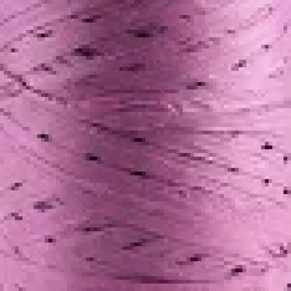 Sensy Premium 400 Metre Rafya Ip Çanta Ipi Raffia Ip Kağıt Ip Supla Ipi 250 Gram Rafya Ip