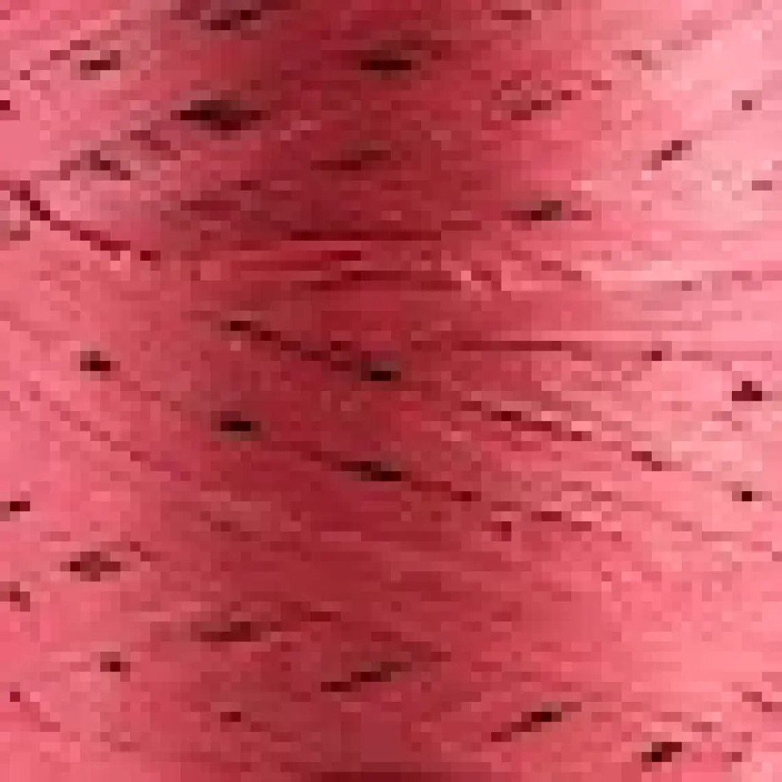 Sensy Premium 400 Metre Rafya Ip Çanta Ipi Raffia Ip Kağıt Ip Supla Ipi 250 Gram Rafya Ip