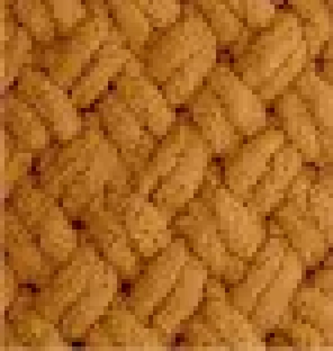 Alize Puffy 179 Karamel
