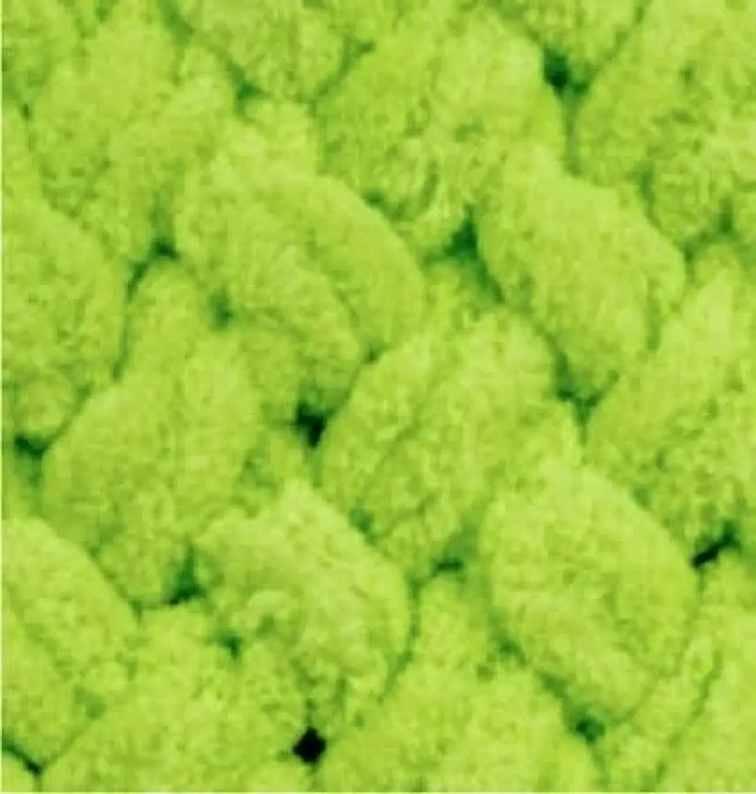 Alize Puffy 179 Karamel