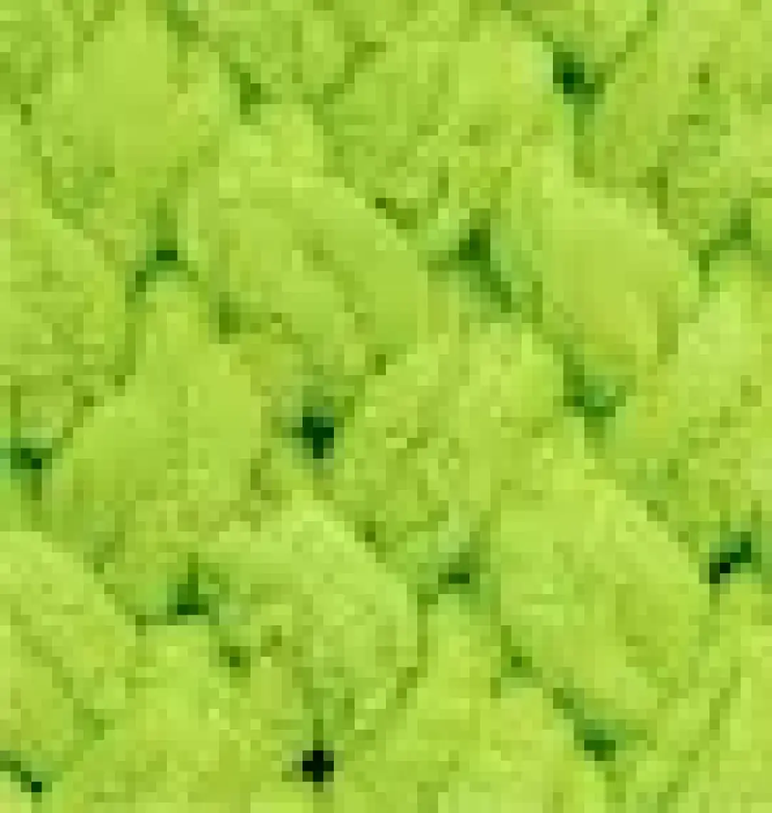 Alize Puffy 179 Karamel
