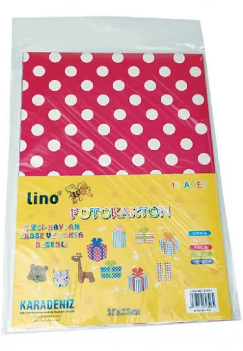 Lino Fotokarton Desenli 23X33 10 Adet 2701J