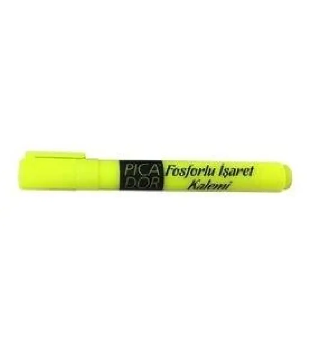 Picador Fosforlu Kalem Canlı ve Pastel Renk 10'lu