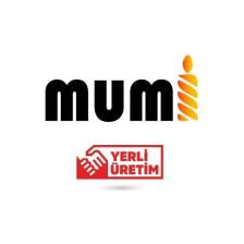 Mumi Silindir Silikon Kalıp Sabun Kokulu Taş Mum Epoksi Kalıbı Seti 3 Parça