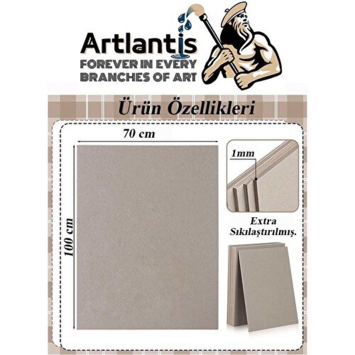 Artlantis Sert Karton Mukavva Gri 1 mm 70 x 100 cm 5 Adet