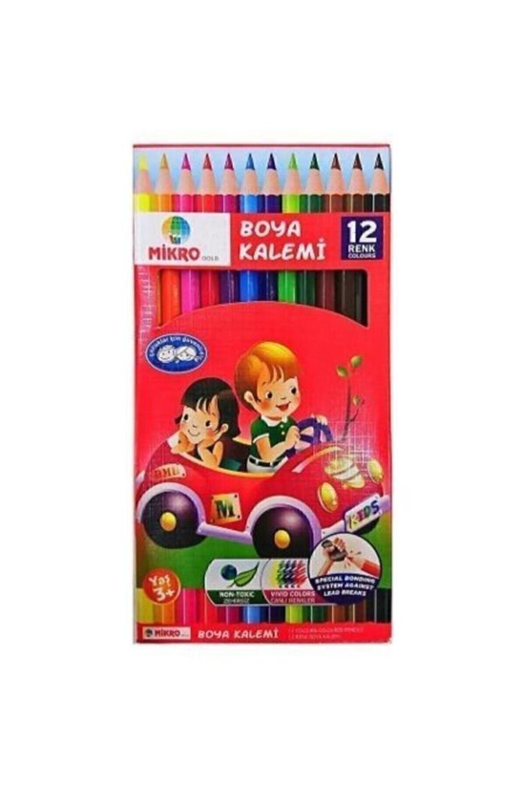 Mikro Gold Kuru Boya Tam Boy 12'li
