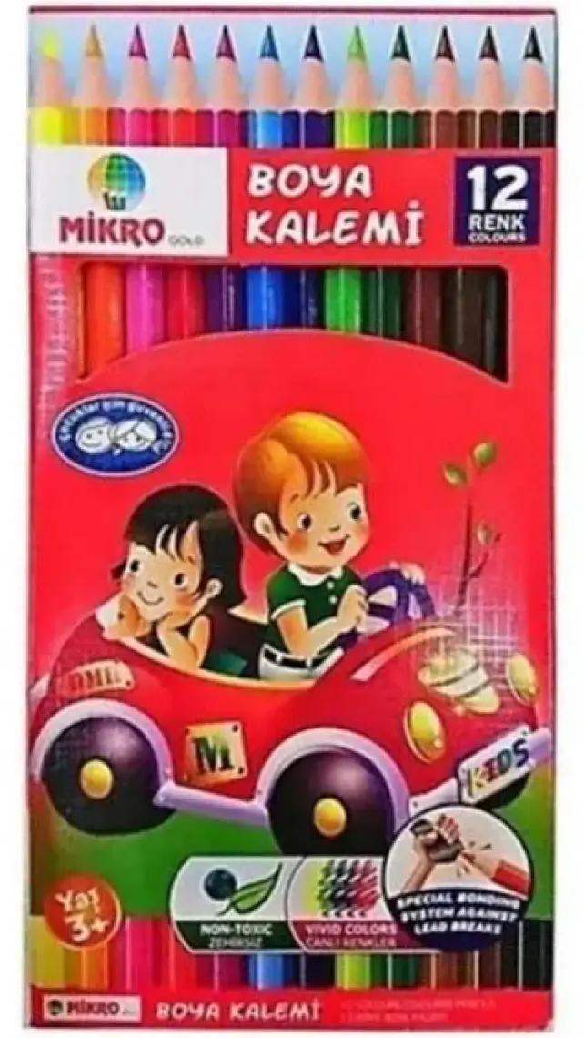 Mikro Gold Kuru Boya Tam Boy 12'li