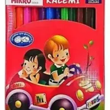 Mikro Gold Kuru Boya Tam Boy 12'li