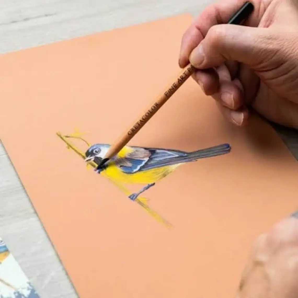 Cretacolor Fine Art Pastel Pencils 12 Renk N:47012